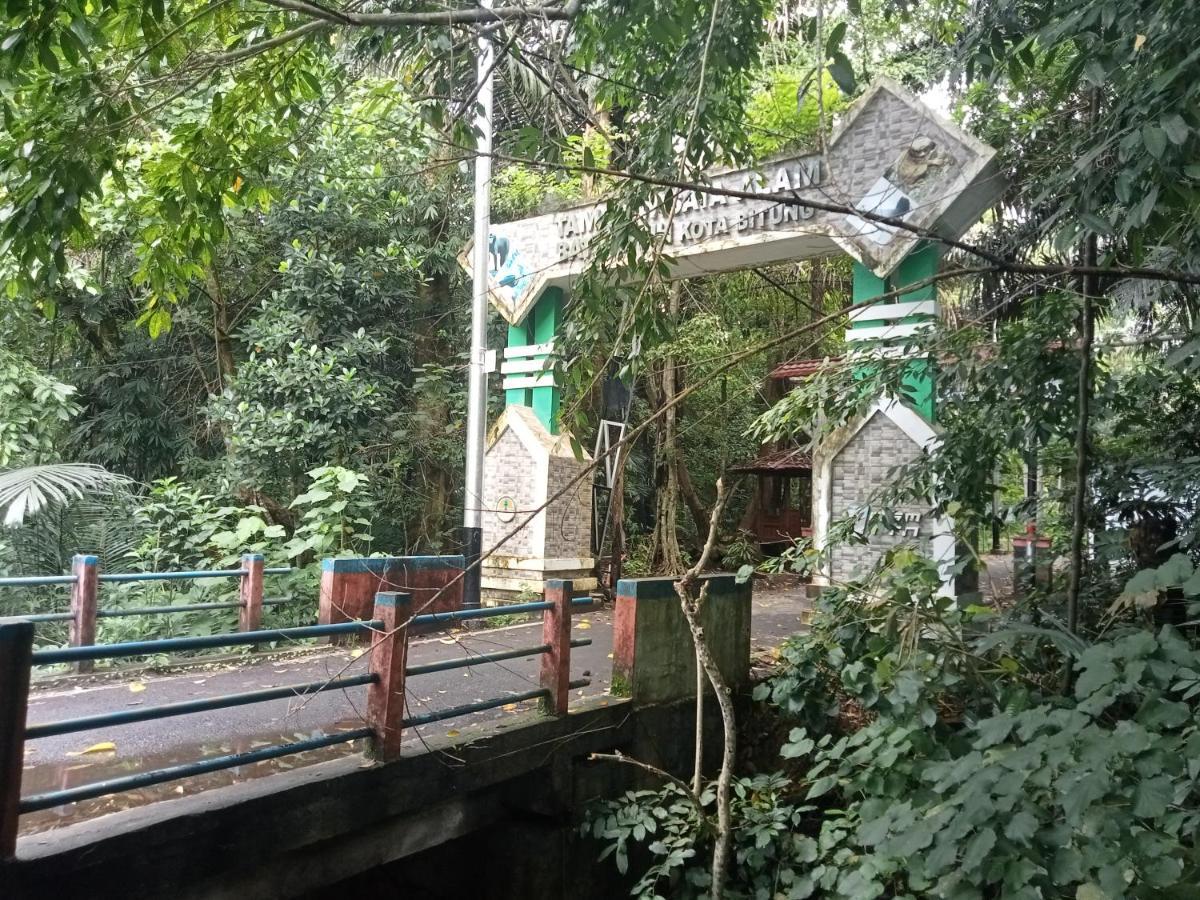 Tangkoko Ranger Homestay Bitung Buitenkant foto
